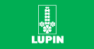 Lupin